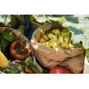 MANDALA TULIPA (Grapat)