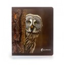 Los animales del bosque (gran formato) NO WORD BOOKS