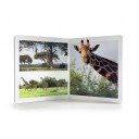 Los animales de la sabana (gran formato) NO WORD BOOKS