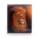 Los animales de la sabana (gran formato) NO WORD BOOKS