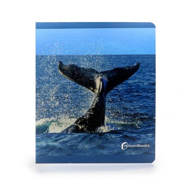 Los animales del mar (gran formato) NO WORD BOOKS