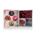 Los ciclos de la vida (gran formato) NO WORD BOOKS