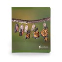 Los ciclos de la vida (gran formato) NO WORD BOOKS