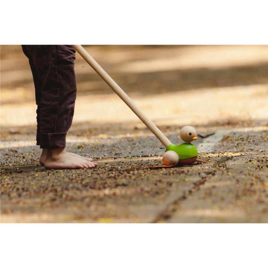 Pasea al pato PLANTOYS