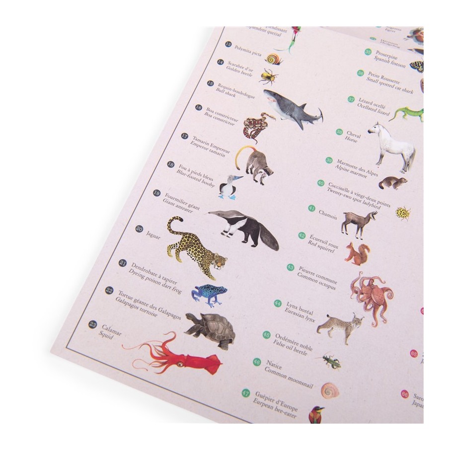 Mapamundi de Calcomanías de Animales de Moulin Roty