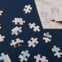 Pingüinos Micropuzzle Londji