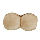 Sonajero Vaina de Semilla Natural