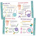 Mi Colección de Joyas con Encanto