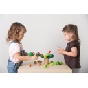 Cactus equilibrista Plantoys