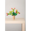 Cactus equilibrista Plantoys