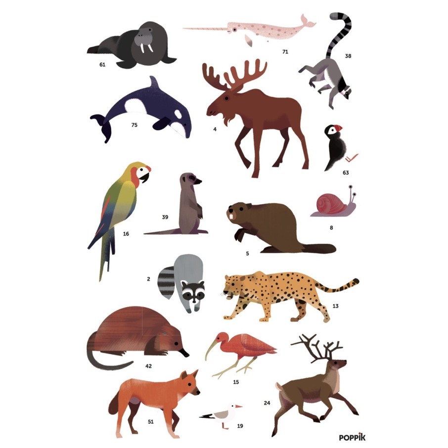 Gran Póster de Pegatinas "Animales del Mundo" Poppik