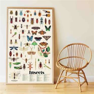 Gran Póster de Pegatinas "Insectos" Poppik 2