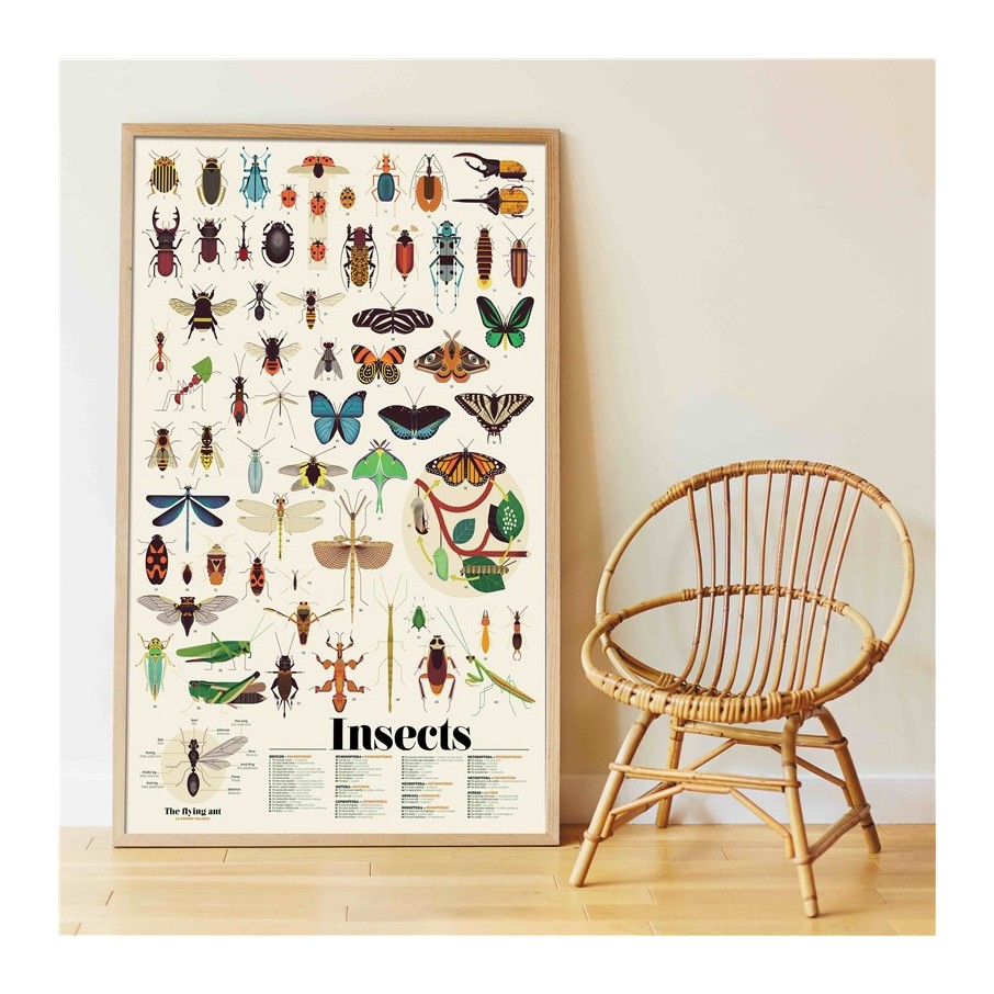 Gran Póster de Pegatinas "Insectos" Poppik