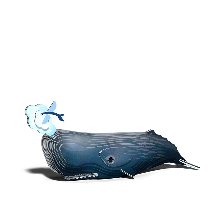 Eugy 092 Sperm Whale