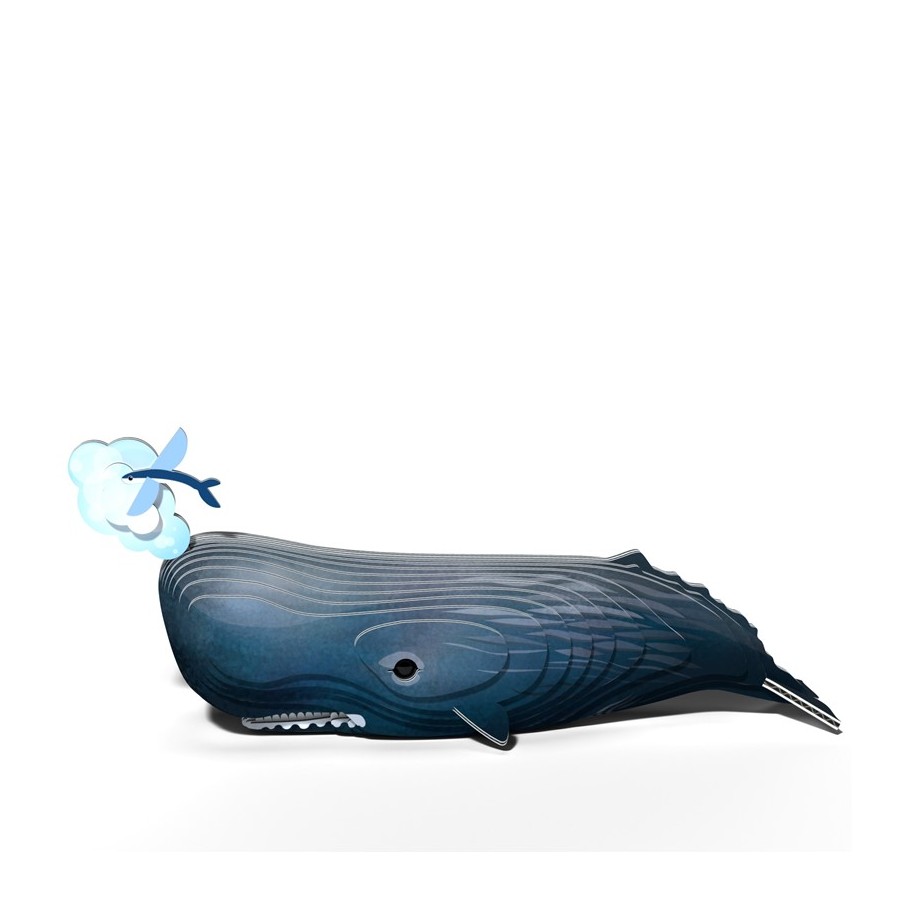 Eugy 092 Sperm Whale