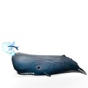 Eugy 092 Sperm Whale