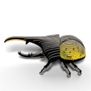 Eugy 112 Hercules Beetle