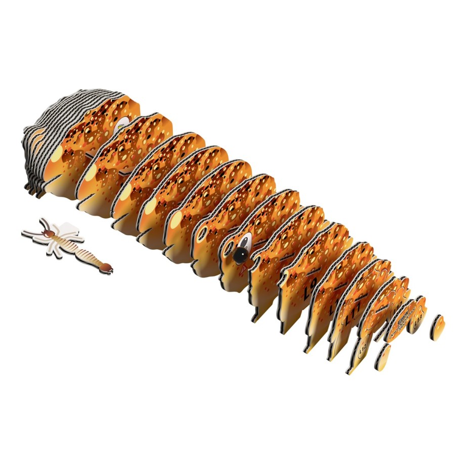 Eugy 117 Desert Spadefoot Toad