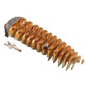 Eugy 117 Desert Spadefoot Toad