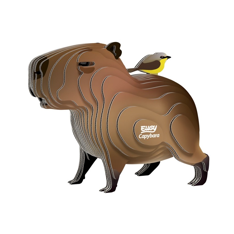 Eugy 120 Capybara