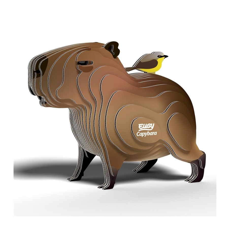 Eugy 120 Capybara