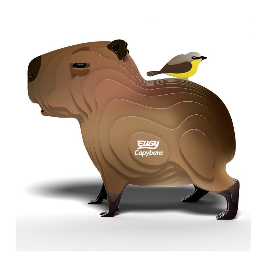Eugy 120 Capybara