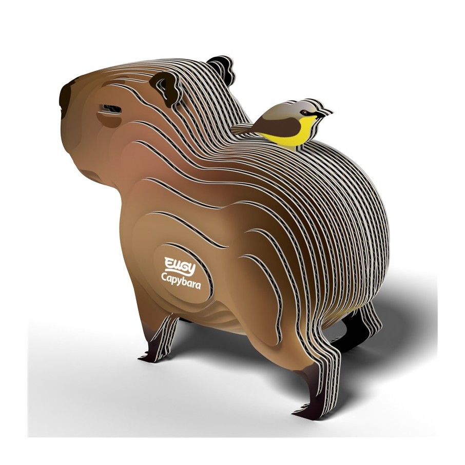 Eugy 120 Capybara